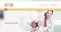 Desktop Screenshot of bgvets.com
